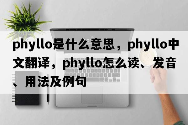 phyllo是什么意思，phyllo中文翻譯，phyllo怎么讀、發(fā)音、用法及例句