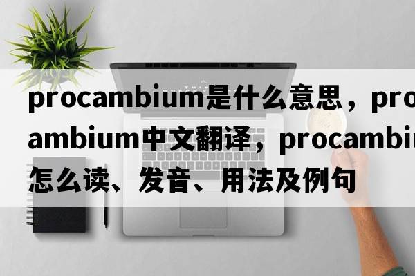 procambium是什么意思，procambium中文翻譯，procambium怎么讀、發(fā)音、用法及例句