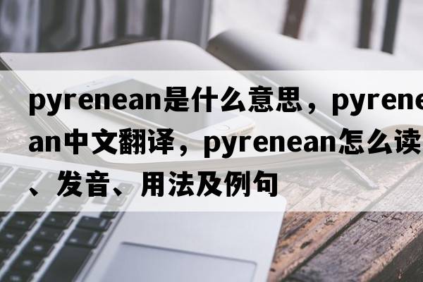 Pyrenean是什么意思，Pyrenean中文翻譯，Pyrenean怎么讀、發(fā)音、用法及例句