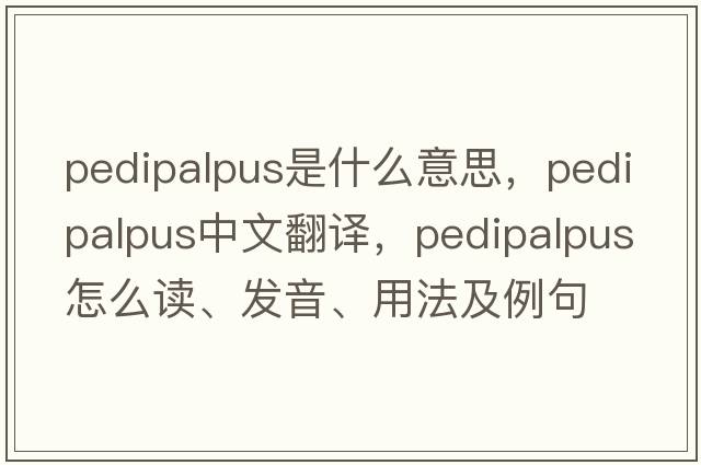 pedipalpus是什么意思，pedipalpus中文翻譯，pedipalpus怎么讀、發(fā)音、用法及例句