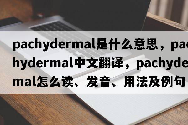 pachydermal是什么意思，pachydermal中文翻譯，pachydermal怎么讀、發(fā)音、用法及例句