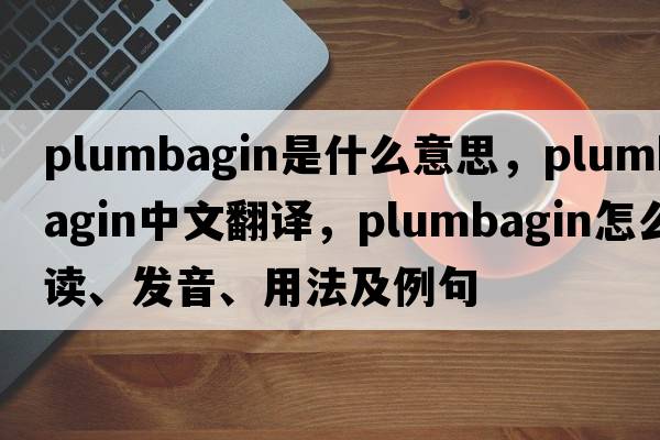 plumbagin是什么意思，plumbagin中文翻譯，plumbagin怎么讀、發(fā)音、用法及例句