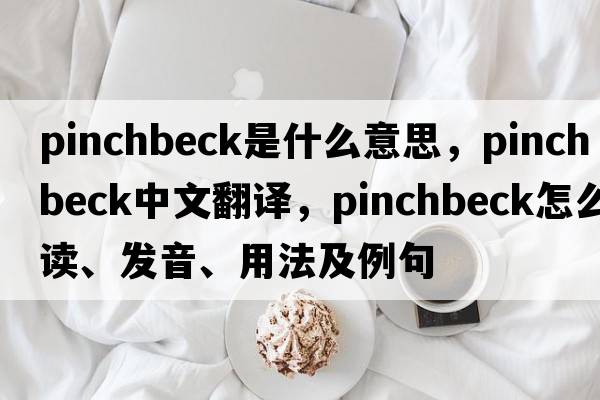 pinchbeck是什么意思，pinchbeck中文翻譯，pinchbeck怎么讀、發(fā)音、用法及例句