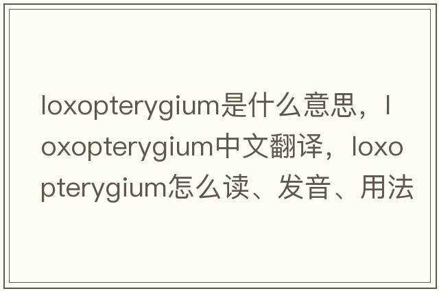 Loxopterygium是什么意思，Loxopterygium中文翻譯，Loxopterygium怎么讀、發(fā)音、用法及例句