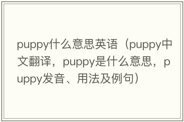 puppy什么意思英語(yǔ)（puppy中文翻譯，puppy是什么意思，puppy發(fā)音、用法及例句）