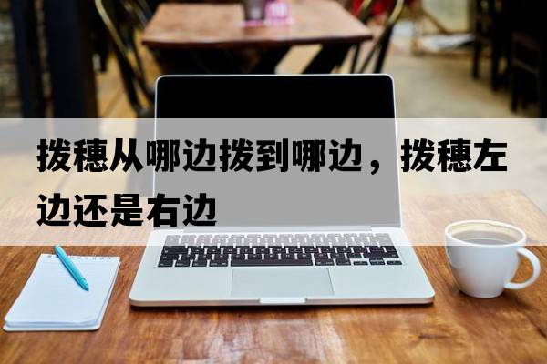 撥穗從哪邊撥到哪邊，撥穗左邊還是右邊