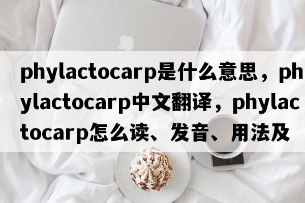 phylactocarp是什么意思，phylactocarp中文翻譯，phylactocarp怎么讀、發(fā)音、用法及例句