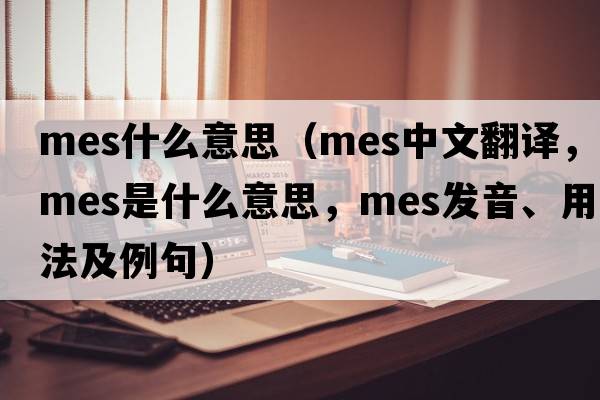 mes什么意思（mes中文翻譯，mes是什么意思，mes發(fā)音、用法及例句）