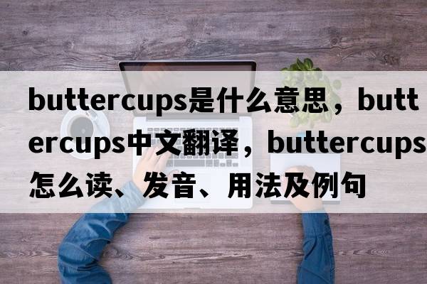 buttercups是什么意思，buttercups中文翻譯，buttercups怎么讀、發(fā)音、用法及例句