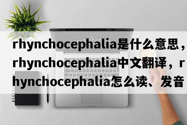 rhynchocephalia是什么意思，rhynchocephalia中文翻譯，rhynchocephalia怎么讀、發(fā)音、用法及例句