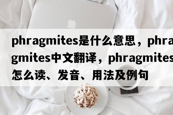 Phragmites是什么意思，Phragmites中文翻譯，Phragmites怎么讀、發(fā)音、用法及例句