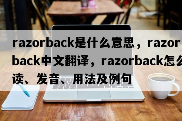 razorback是什么意思，razorback中文翻譯，razorback怎么讀、發(fā)音、用法及例句