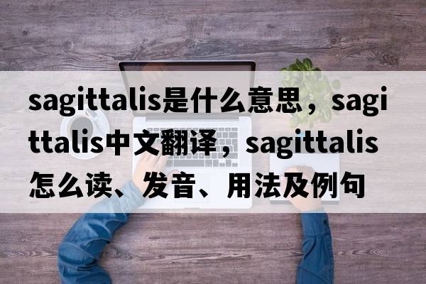 sagittalis是什么意思，sagittalis中文翻譯，sagittalis怎么讀、發(fā)音、用法及例句