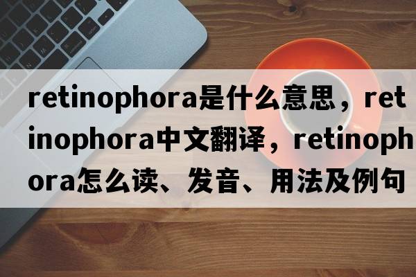 retinophora是什么意思，retinophora中文翻譯，retinophora怎么讀、發(fā)音、用法及例句