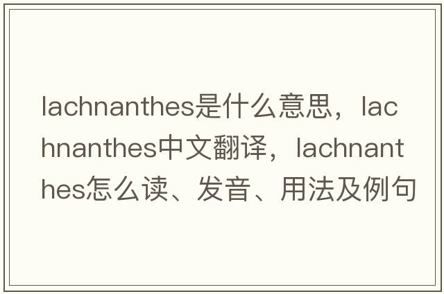 Lachnanthes是什么意思，Lachnanthes中文翻譯，Lachnanthes怎么讀、發(fā)音、用法及例句