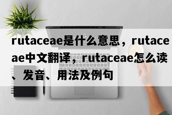 Rutaceae是什么意思，Rutaceae中文翻譯，Rutaceae怎么讀、發(fā)音、用法及例句