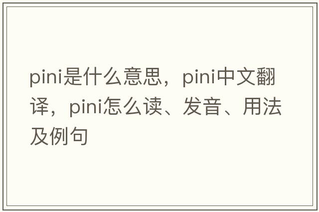 PINI是什么意思，PINI中文翻譯，PINI怎么讀、發(fā)音、用法及例句