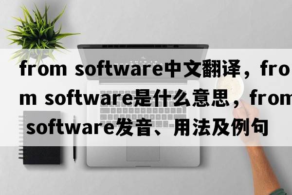 from software中文翻譯，from software是什么意思，from software發(fā)音、用法及例句