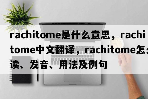 rachitome是什么意思，rachitome中文翻譯，rachitome怎么讀、發(fā)音、用法及例句