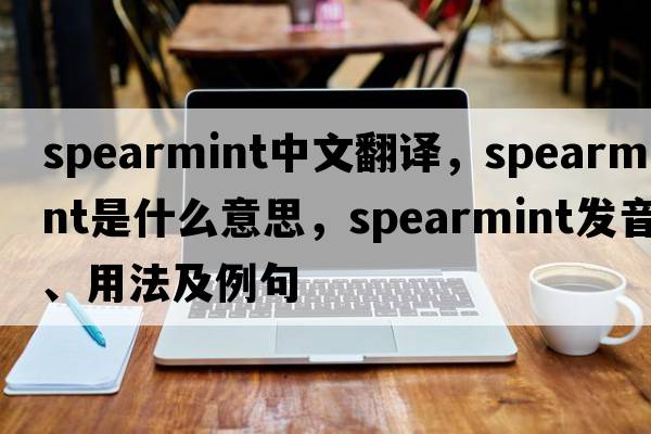 spearmint中文翻譯，spearmint是什么意思，spearmint發(fā)音、用法及例句