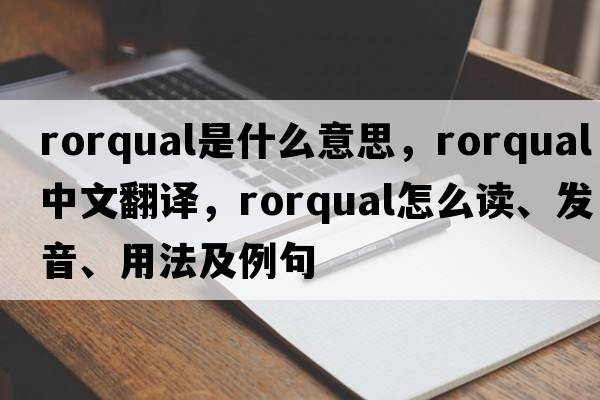 rorqual是什么意思，rorqual中文翻譯，rorqual怎么讀、發(fā)音、用法及例句
