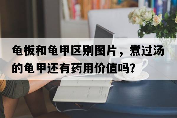 龜板和龜甲區(qū)別圖片，煮過(guò)湯的龜甲還有藥用價(jià)值嗎？