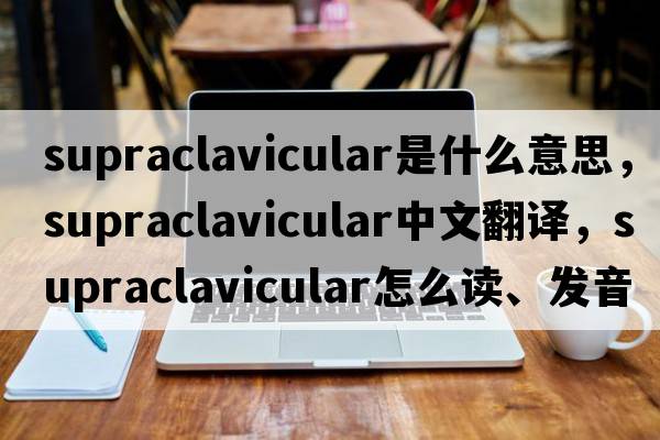 supraclavicular是什么意思，supraclavicular中文翻譯，supraclavicular怎么讀、發(fā)音、用法及例句