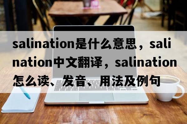 salination是什么意思，salination中文翻譯，salination怎么讀、發(fā)音、用法及例句