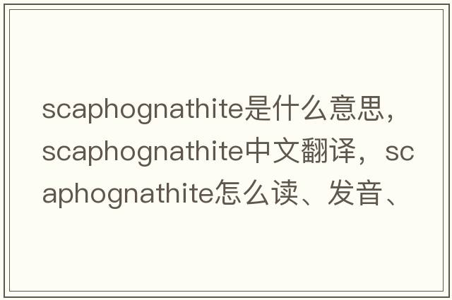 scaphognathite是什么意思，scaphognathite中文翻譯，scaphognathite怎么讀、發(fā)音、用法及例句