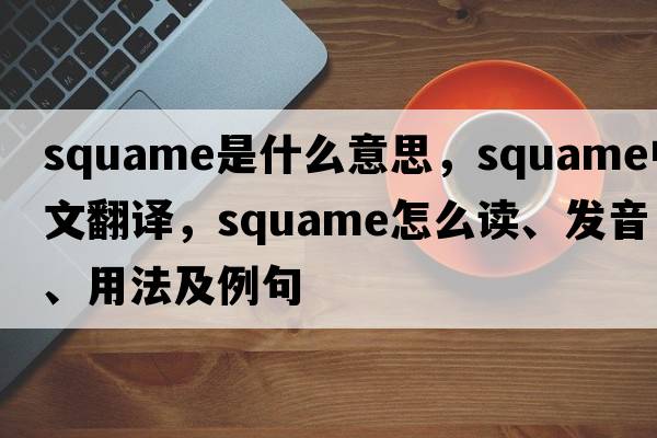 squame是什么意思，squame中文翻譯，squame怎么讀、發(fā)音、用法及例句