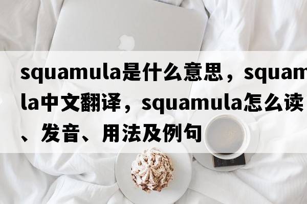 squamula是什么意思，squamula中文翻譯，squamula怎么讀、發(fā)音、用法及例句