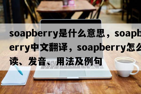 soapberry是什么意思，soapberry中文翻譯，soapberry怎么讀、發(fā)音、用法及例句