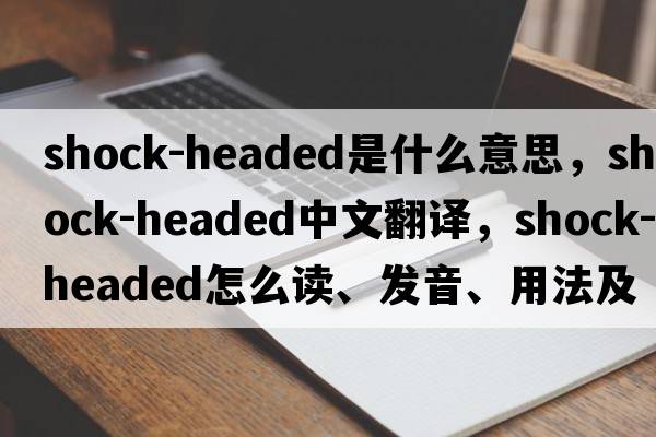 shock-headed是什么意思，shock-headed中文翻譯，shock-headed怎么讀、發(fā)音、用法及例句