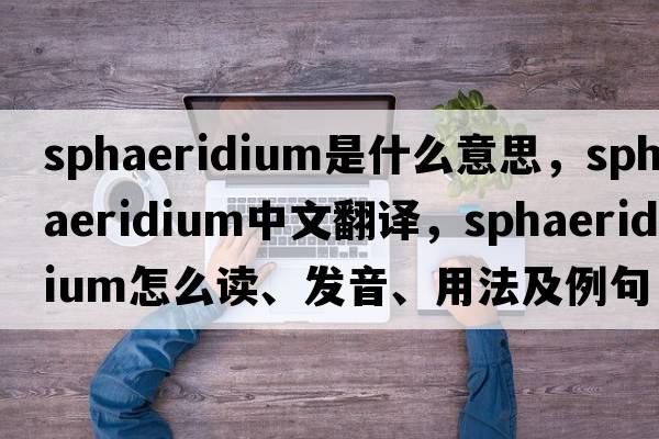 sphaeridium是什么意思，sphaeridium中文翻譯，sphaeridium怎么讀、發(fā)音、用法及例句