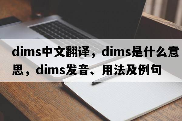 dims中文翻譯，dims是什么意思，dims發(fā)音、用法及例句