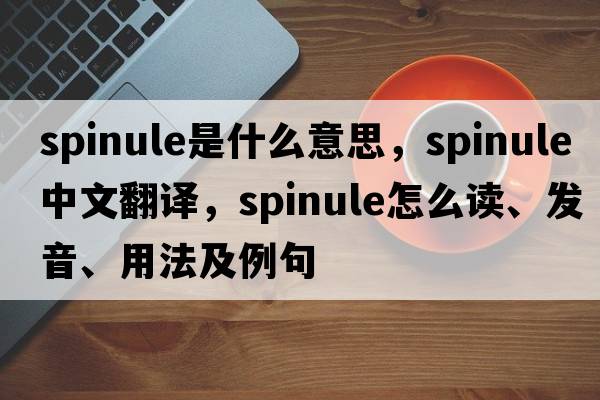 spinule是什么意思，spinule中文翻譯，spinule怎么讀、發(fā)音、用法及例句