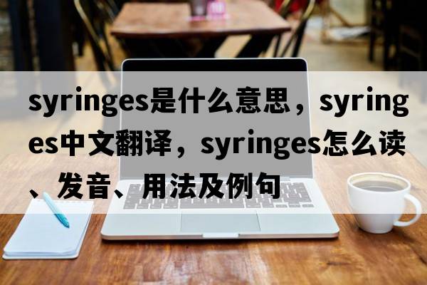 syringes是什么意思，syringes中文翻譯，syringes怎么讀、發(fā)音、用法及例句
