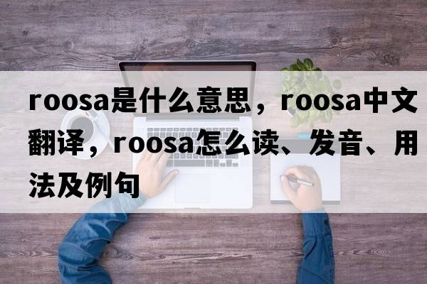 Roosa是什么意思，Roosa中文翻譯，Roosa怎么讀、發(fā)音、用法及例句