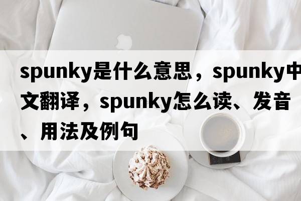 spunky是什么意思，spunky中文翻譯，spunky怎么讀、發(fā)音、用法及例句
