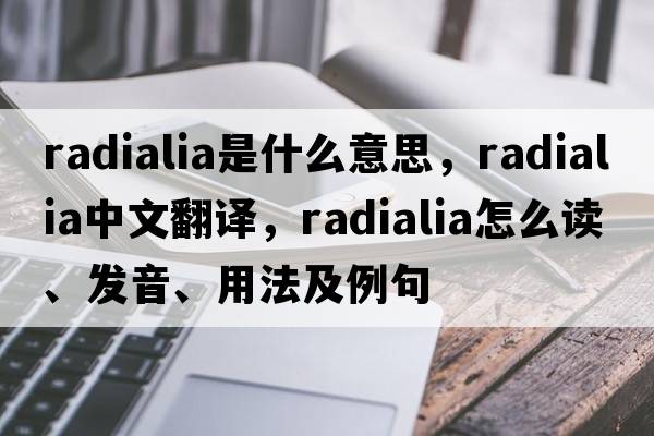 radialia是什么意思，radialia中文翻譯，radialia怎么讀、發(fā)音、用法及例句