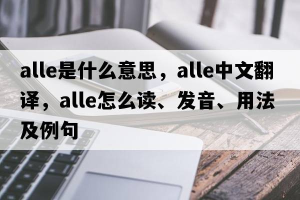 Alle是什么意思，Alle中文翻譯，Alle怎么讀、發(fā)音、用法及例句