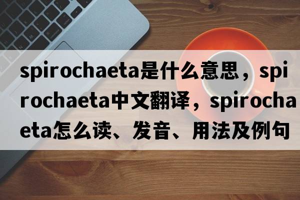 spirochaeta是什么意思，spirochaeta中文翻譯，spirochaeta怎么讀、發(fā)音、用法及例句