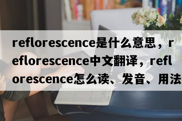 reflorescence是什么意思，reflorescence中文翻譯，reflorescence怎么讀、發(fā)音、用法及例句