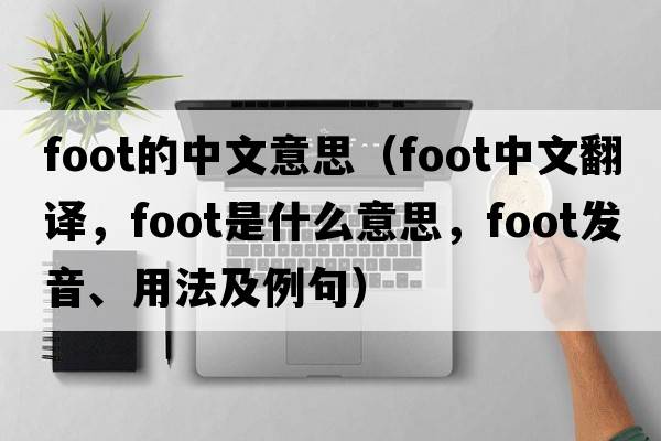 foot的中文意思（foot中文翻譯，foot是什么意思，foot發(fā)音、用法及例句）