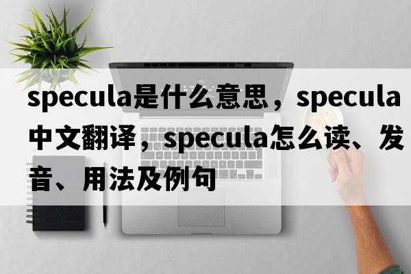 specula是什么意思，specula中文翻譯，specula怎么讀、發(fā)音、用法及例句