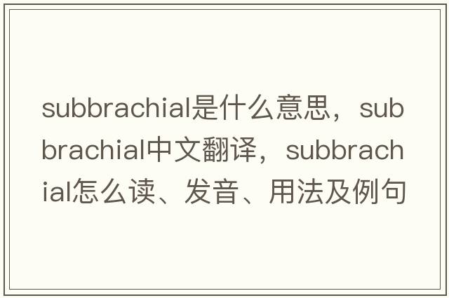 subbrachial是什么意思，subbrachial中文翻譯，subbrachial怎么讀、發(fā)音、用法及例句