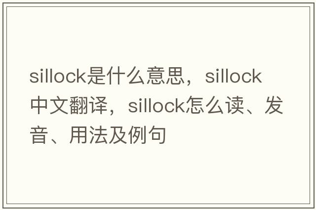 sillock是什么意思，sillock中文翻譯，sillock怎么讀、發(fā)音、用法及例句