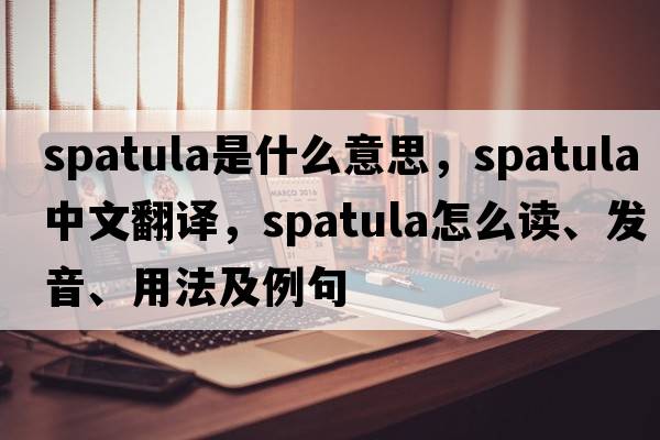 spatula是什么意思，spatula中文翻譯，spatula怎么讀、發(fā)音、用法及例句