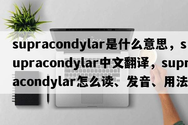 supracondylar是什么意思，supracondylar中文翻譯，supracondylar怎么讀、發(fā)音、用法及例句