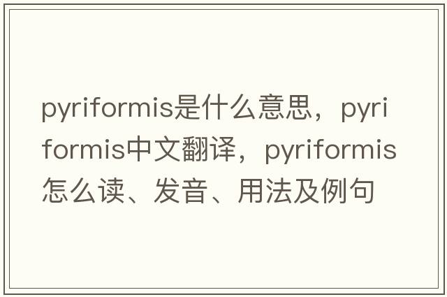 pyriformis是什么意思，pyriformis中文翻譯，pyriformis怎么讀、發(fā)音、用法及例句